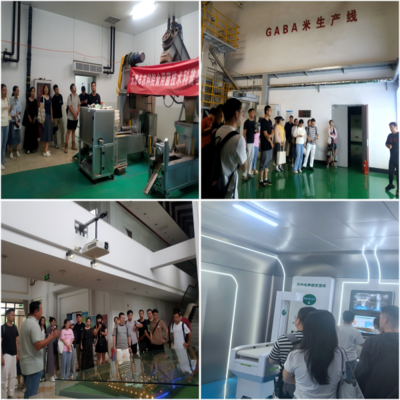 筑梦起航，赋能未来——我院成功举办2025年新入职人员高等教育专项岗前培训